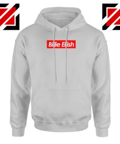 Billie Eilish Parody Grey Hoodie