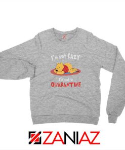 Pooh Quarantine Sport Grey Sweatshirt