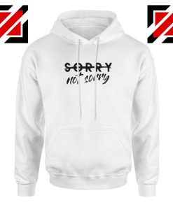 Sorry Not Sorry Lyrics Hoodie