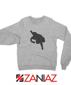 Sleeping Kitten Sport Grey Sweatshirt