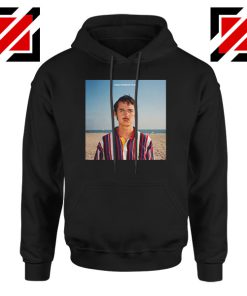 Wallows 1980s Horror Film Hoodie