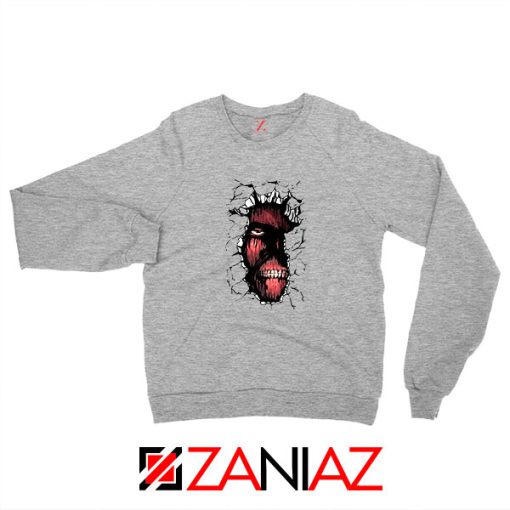 Titan In The Wall Sport Grey Sweatshirt