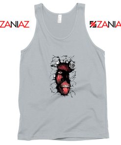 Titan In The Wall Sport Grey Tank Top