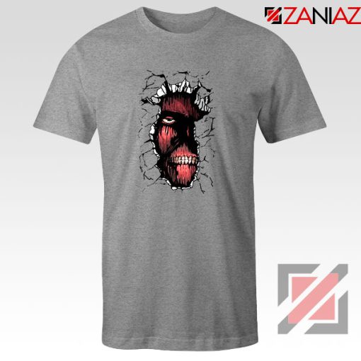 Titan In The Wall Sport Grey Tshirt