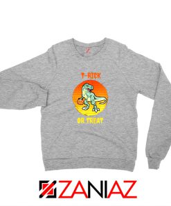 Trick or Treat Trex Sport Grey Sweatshirt